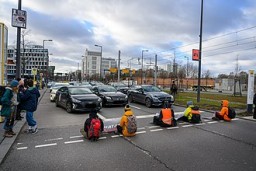 Klimakleber Foto wikipedia