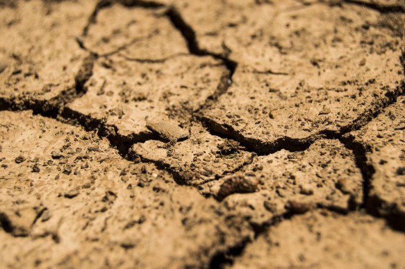 Hier wächst nichts mehr Foto pixabay