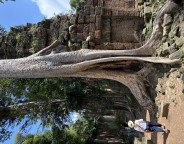 Urwald und Stein: Ta Throm Tempel in Angkor. Foto privat
